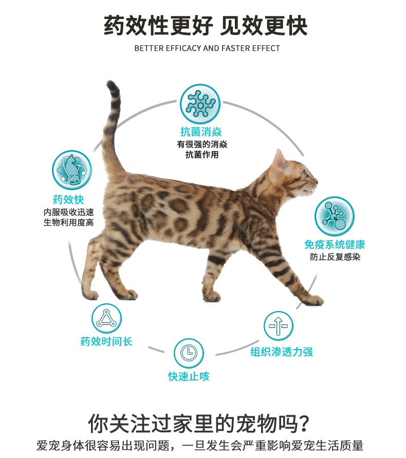 鹽酸多西環(huán)素_02.jpg